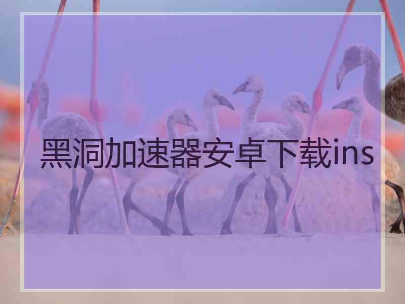 黑洞加速器安卓下载ins