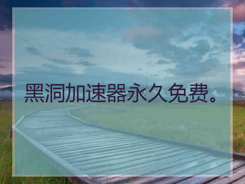 黑洞加速器永久免费。