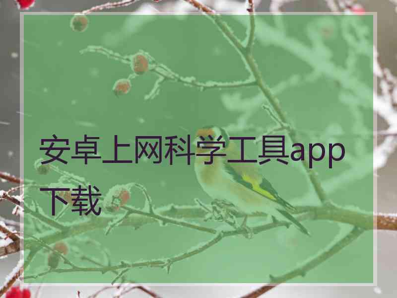 安卓上网科学工具app下载