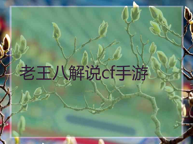老王八解说cf手游