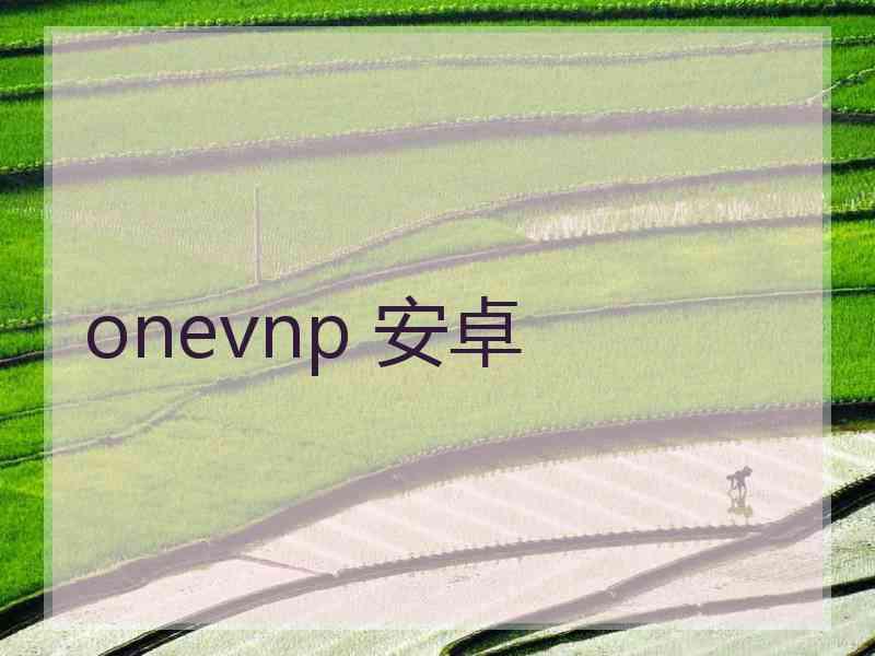 onevnp 安卓
