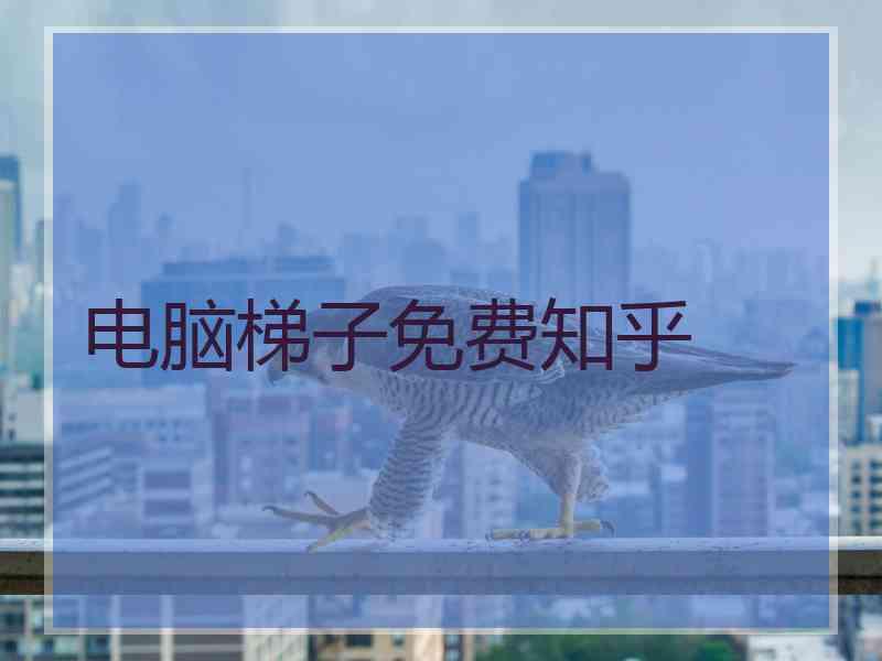 电脑梯子免费知乎