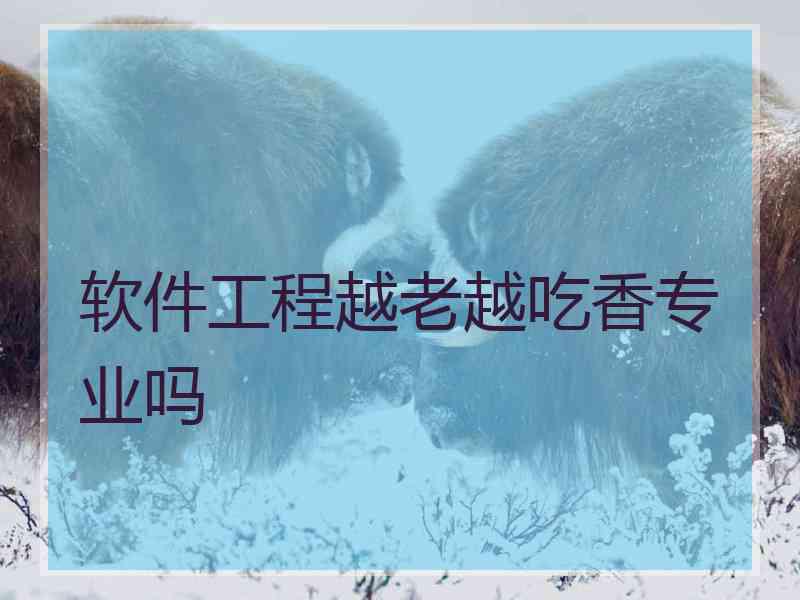 软件工程越老越吃香专业吗