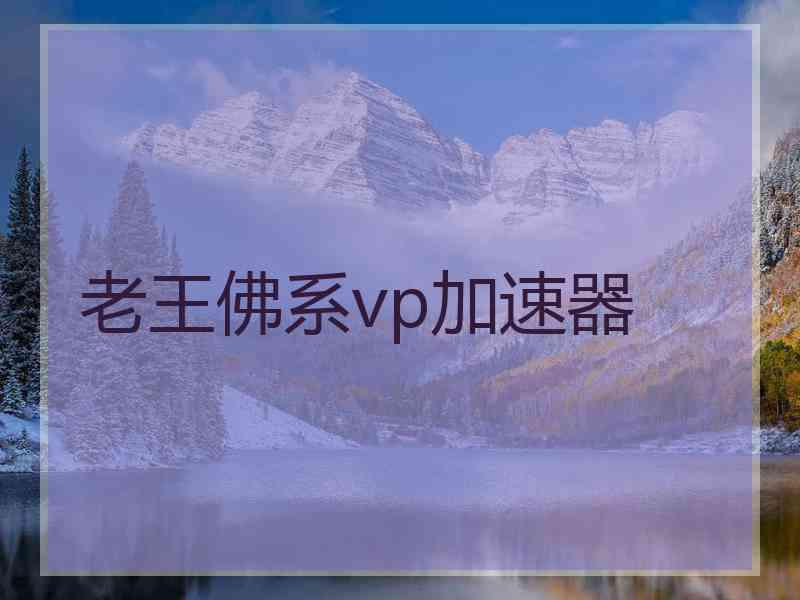 老王佛系vp加速器