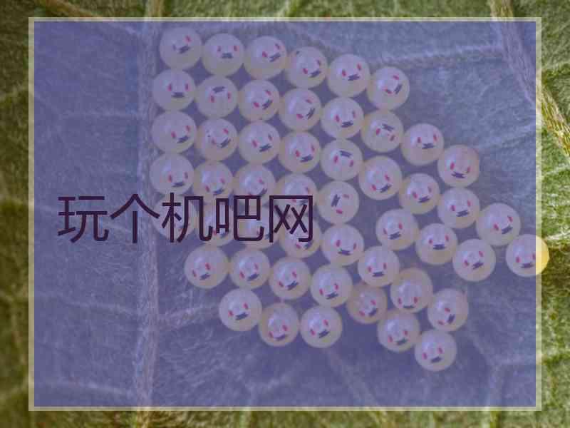 玩个机吧网