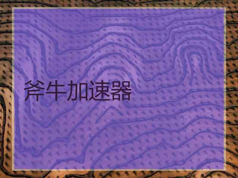 斧牛加速器