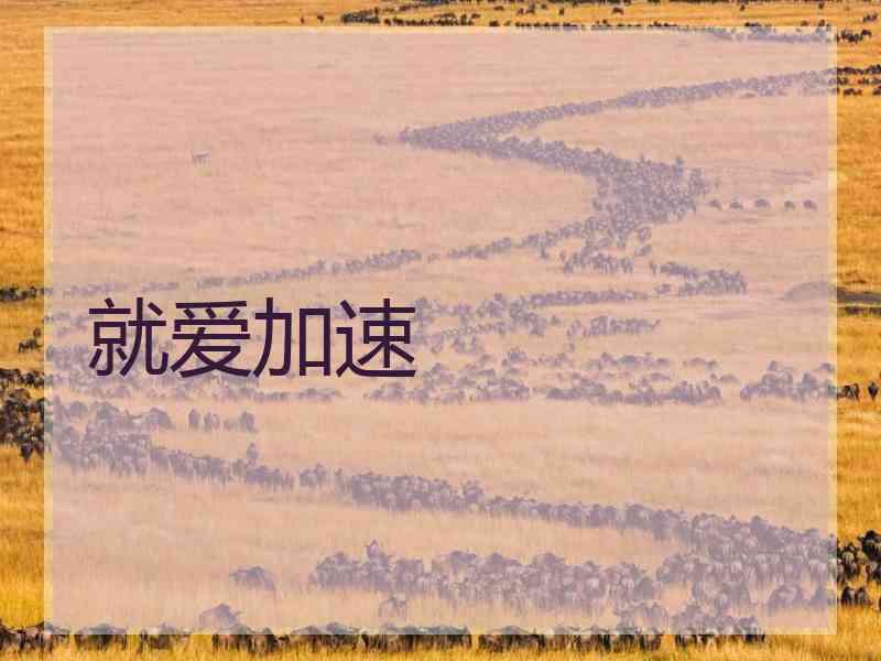 就爱加速
