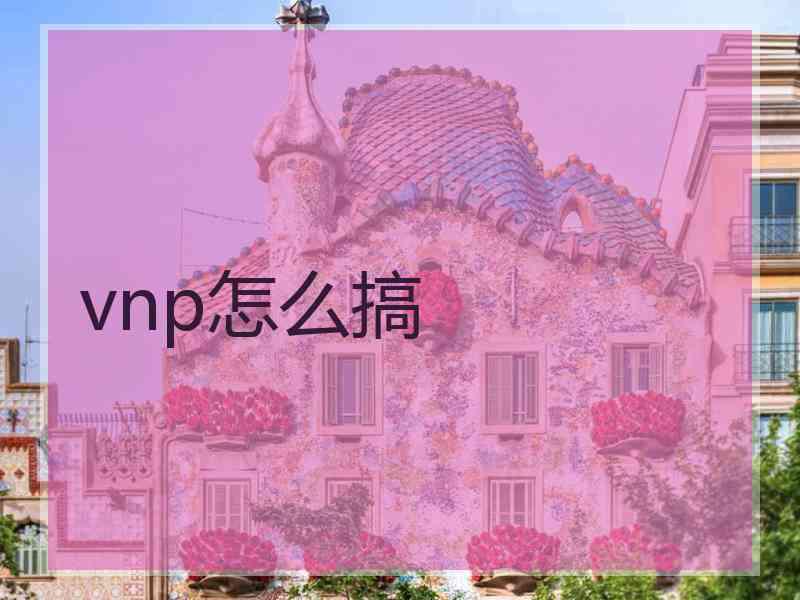 vnp怎么搞