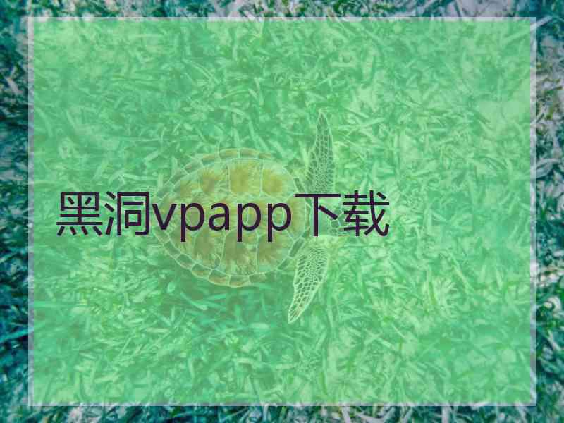 黑洞vpapp下载