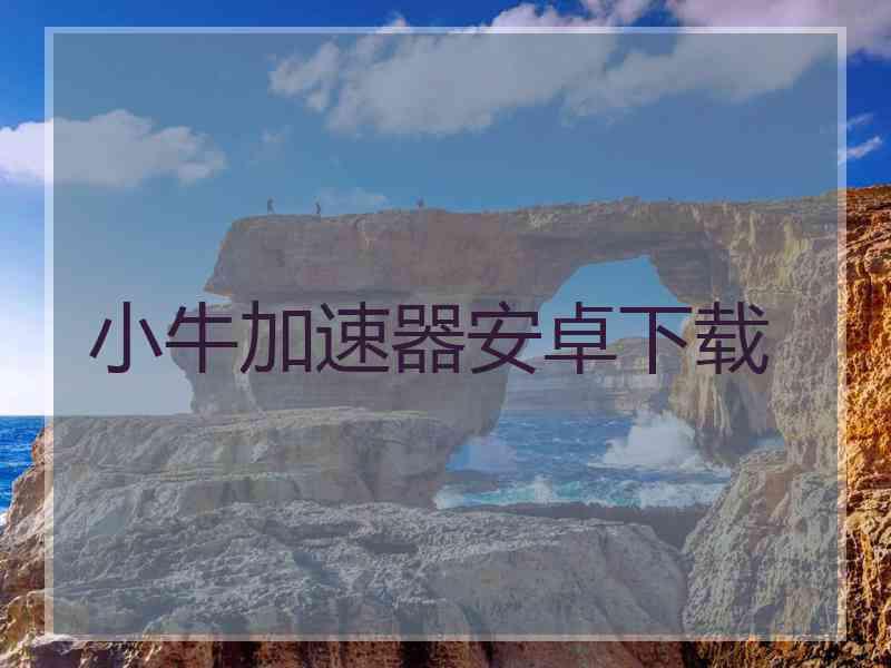 小牛加速器安卓下载