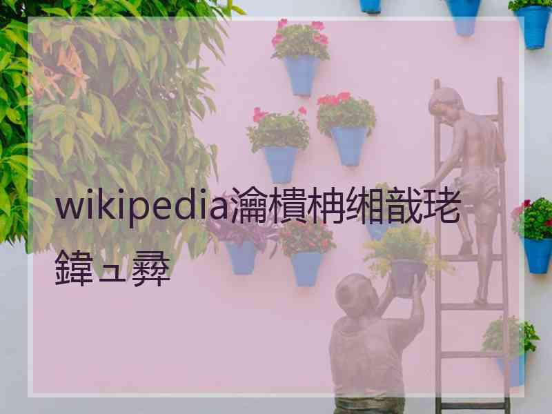 wikipedia瀹樻柟缃戠珯鍏ュ彛