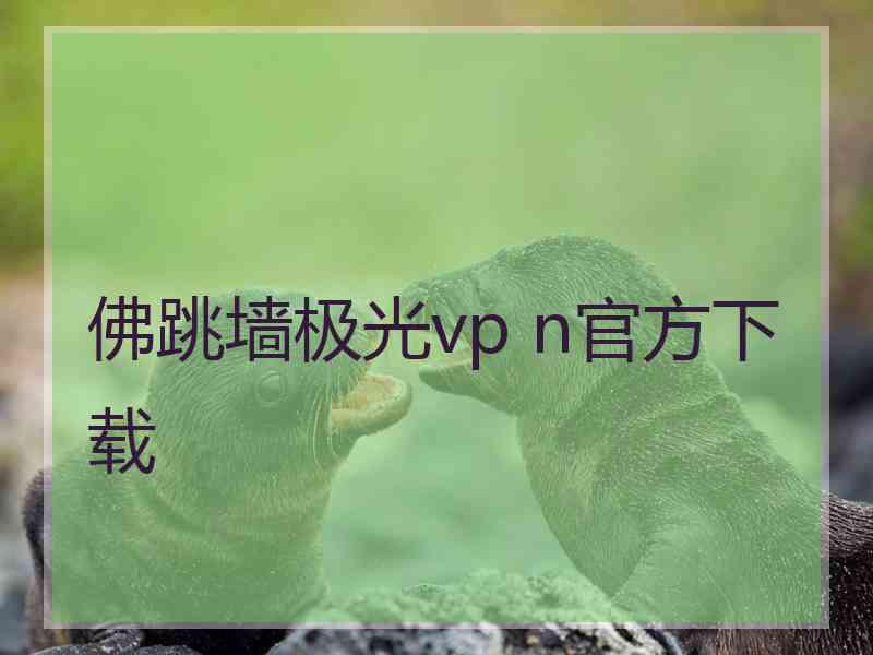 佛跳墙极光vp n官方下载