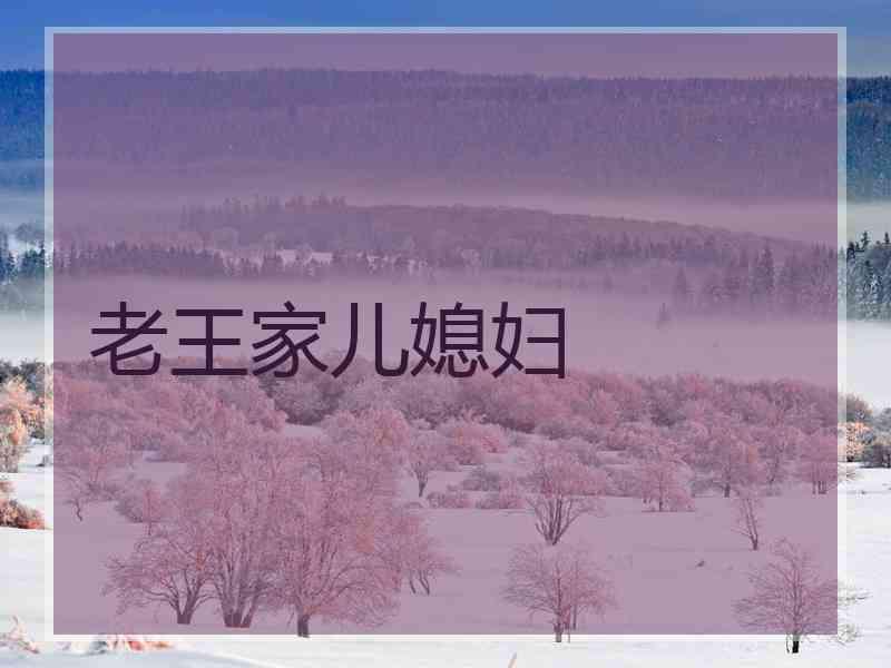 老王家儿媳妇