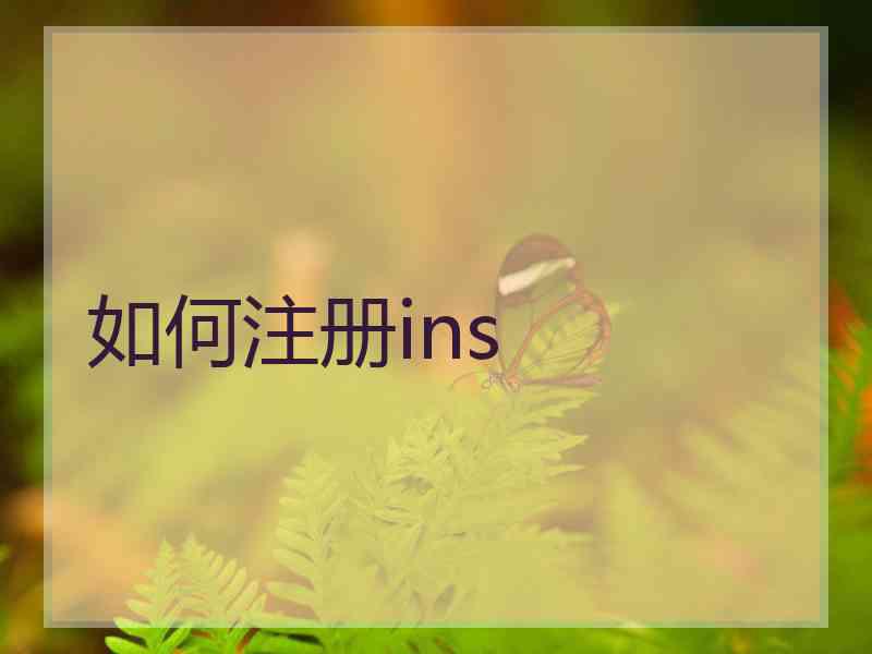 如何注册ins