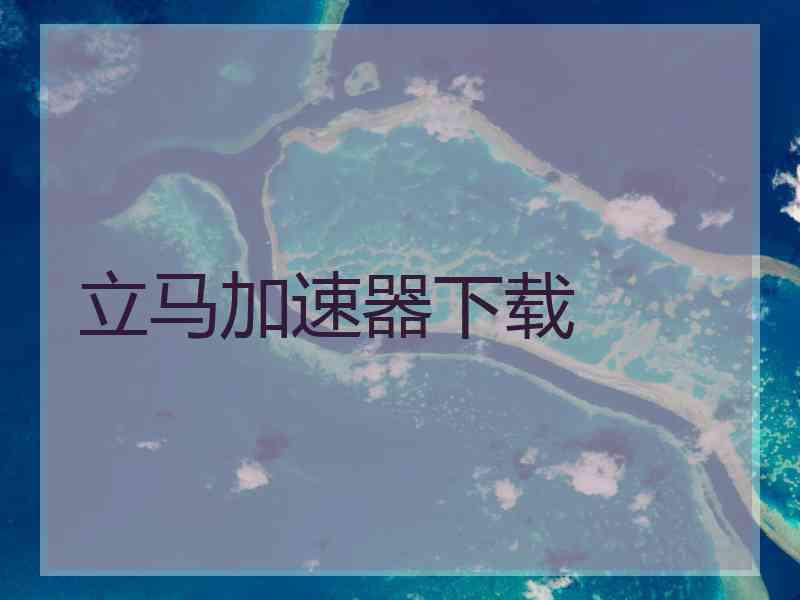 立马加速器下载
