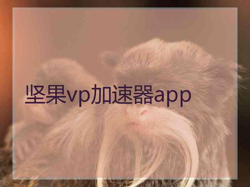 坚果vp加速器app