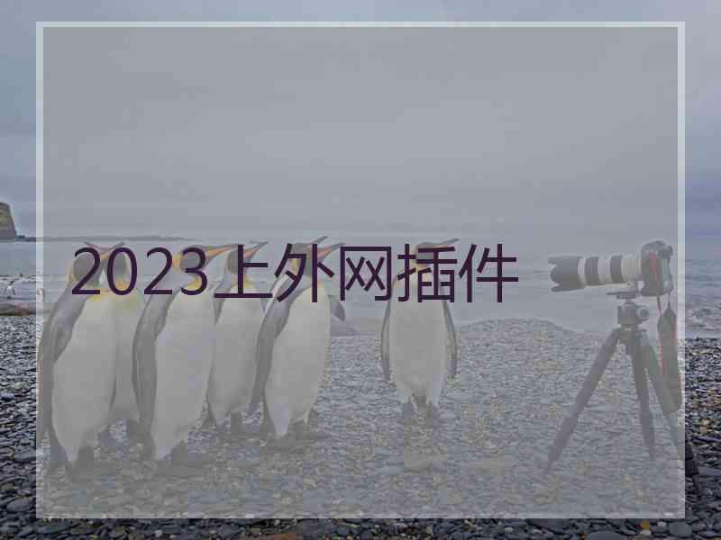 2023上外网插件