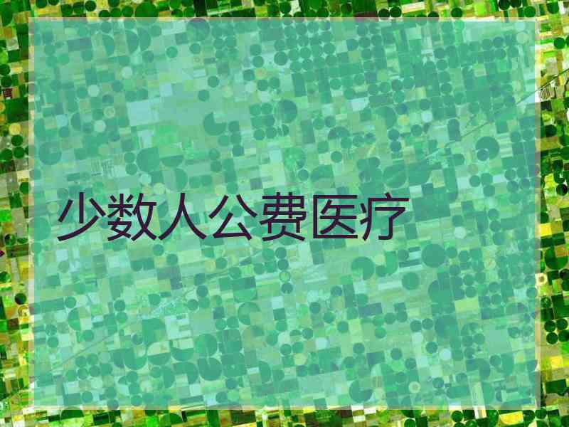 少数人公费医疗