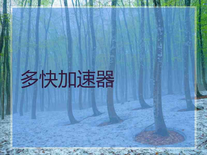 多快加速器