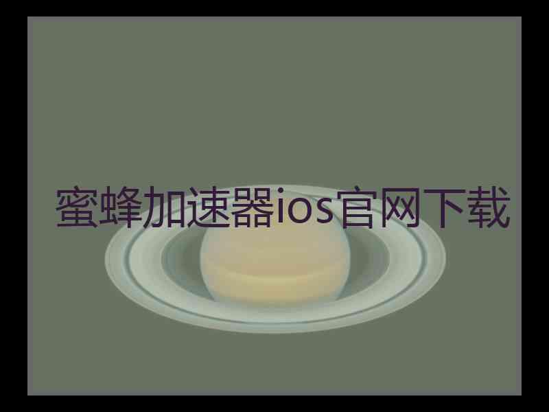 蜜蜂加速器ios官网下载