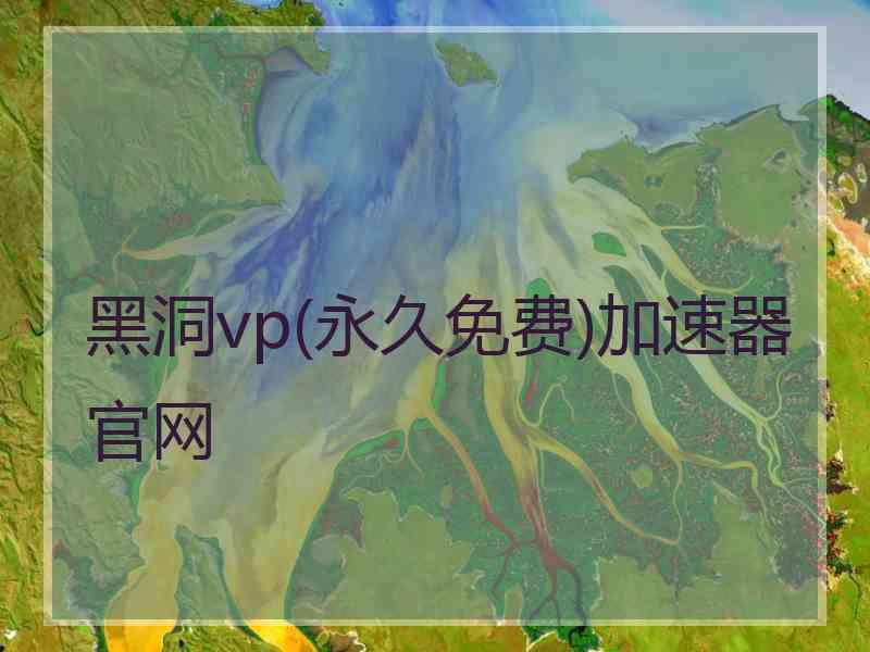 黑洞vp(永久免费)加速器官网