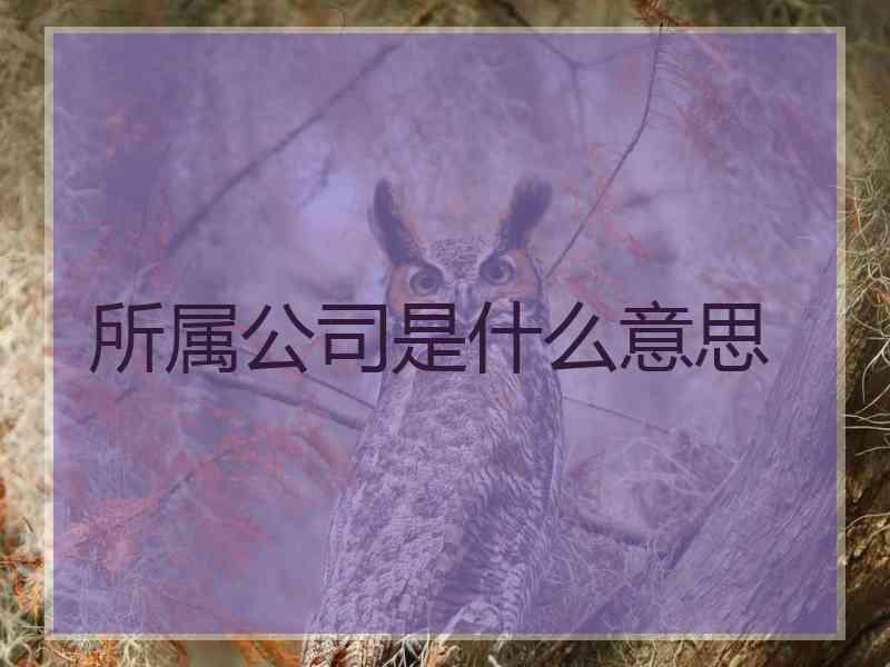 所属公司是什么意思