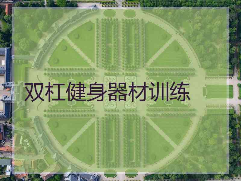 双杠健身器材训练