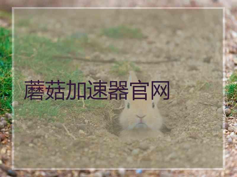 蘑菇加速器官网