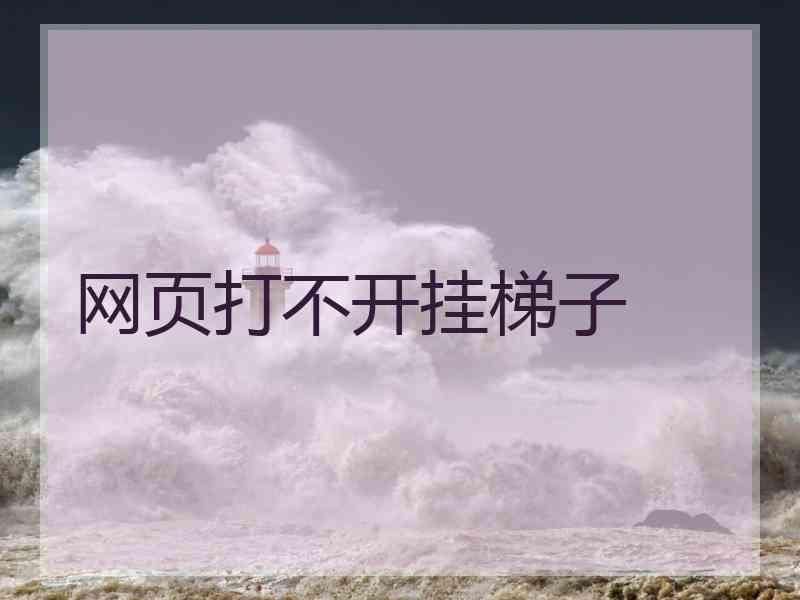 网页打不开挂梯子