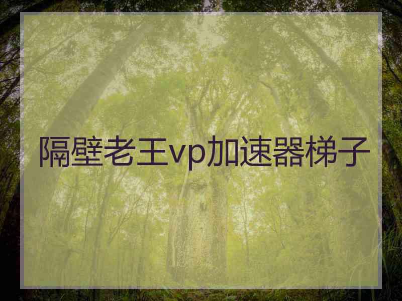 隔壁老王vp加速器梯子
