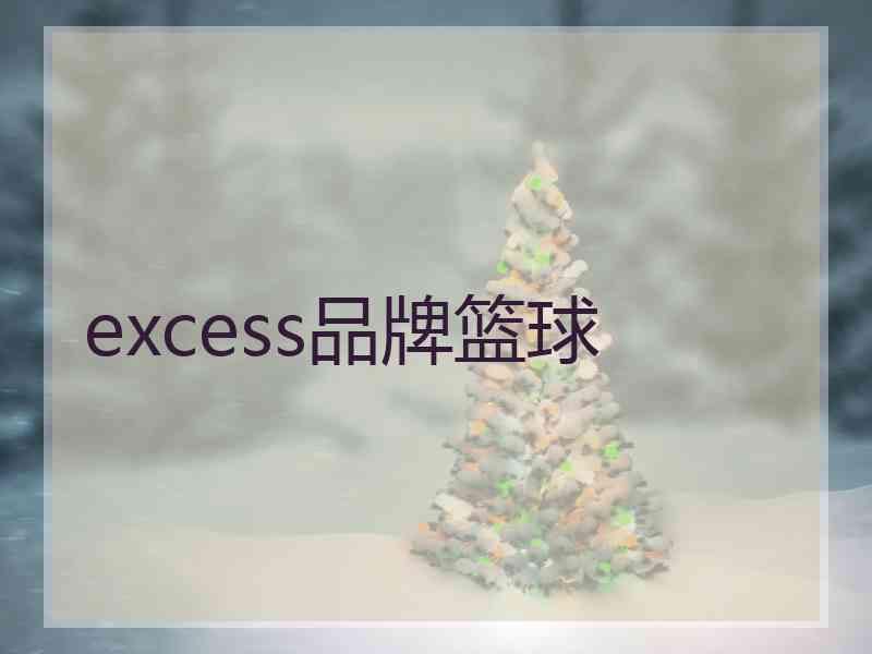 excess品牌篮球