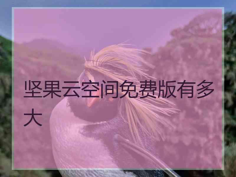 坚果云空间免费版有多大
