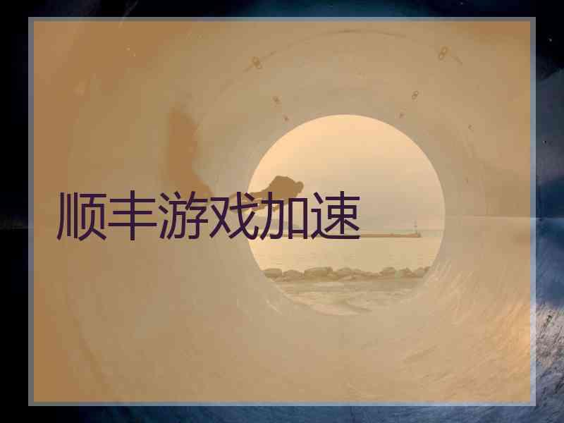 顺丰游戏加速