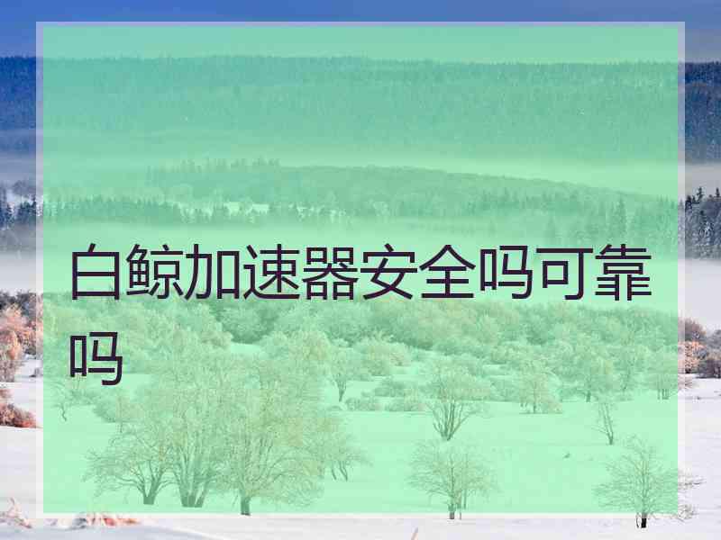 白鲸加速器安全吗可靠吗