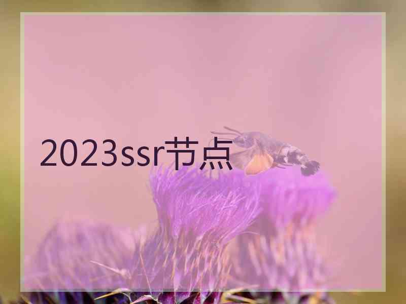 2023ssr节点