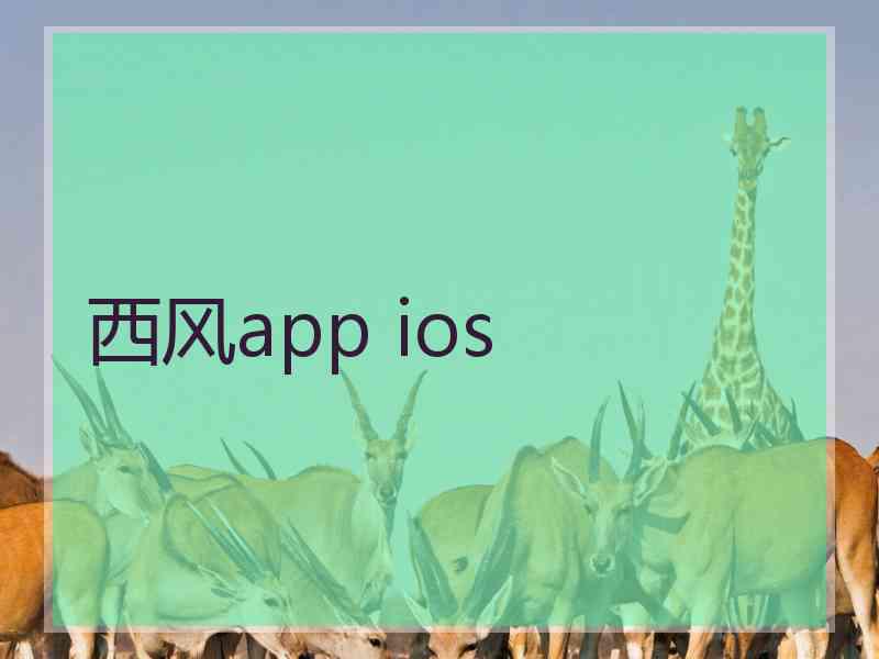 西风app ios