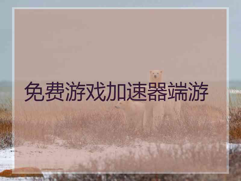 免费游戏加速器端游
