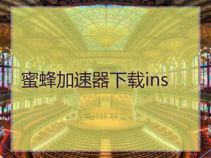 蜜蜂加速器下载ins
