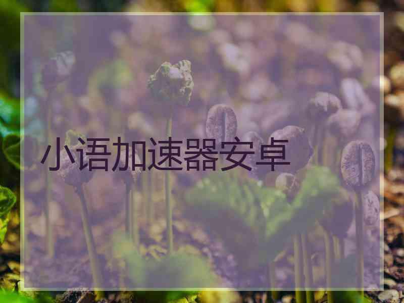 小语加速器安卓