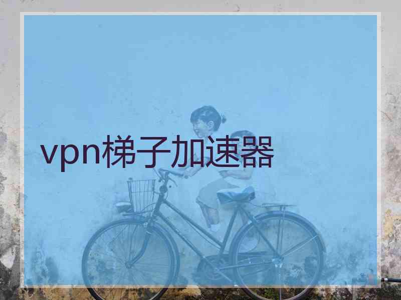 vpn梯子加速器