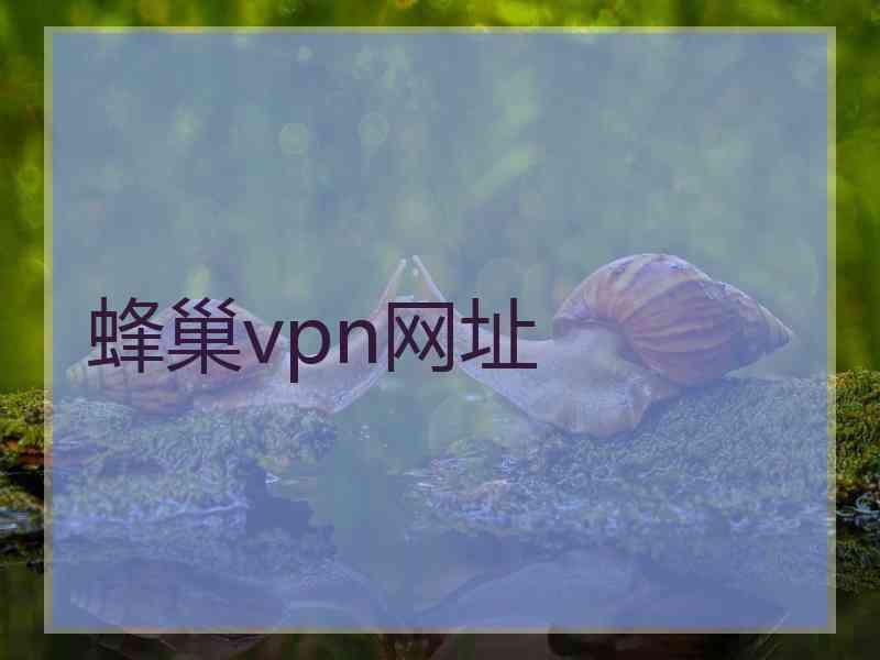 蜂巢vpn网址