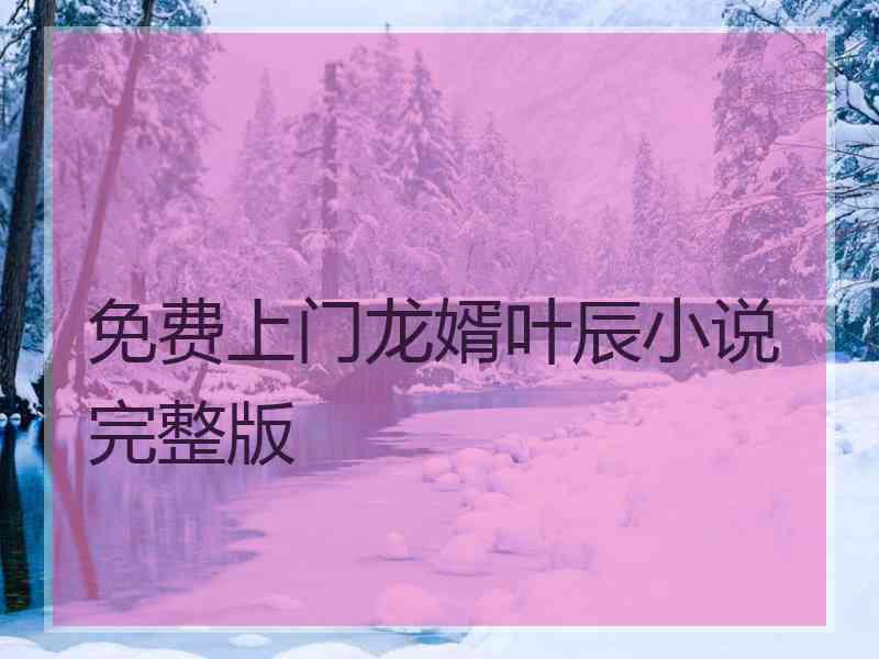 免费上门龙婿叶辰小说完整版