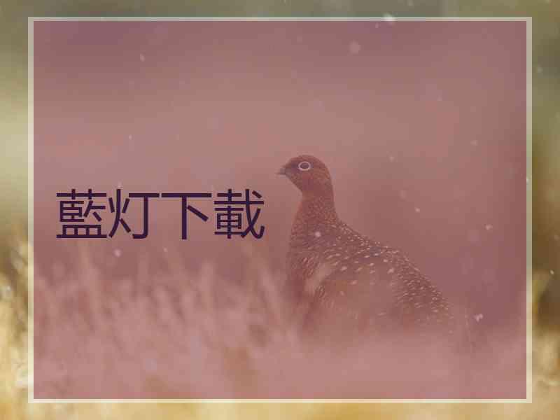 藍灯下載