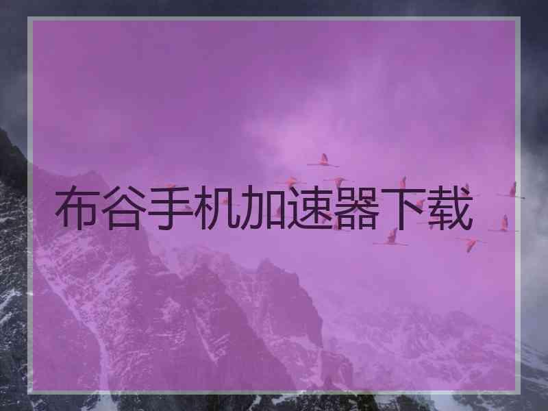 布谷手机加速器下载