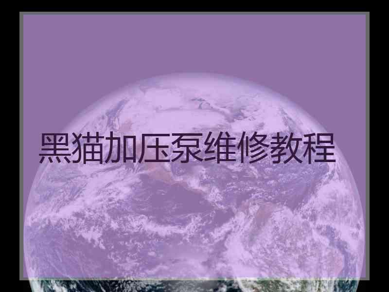 黑猫加压泵维修教程