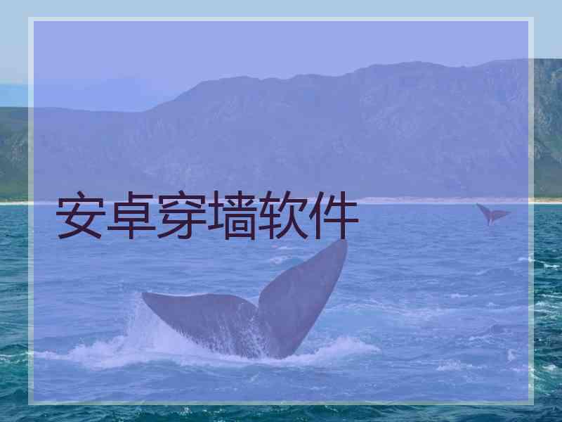 安卓穿墙软件