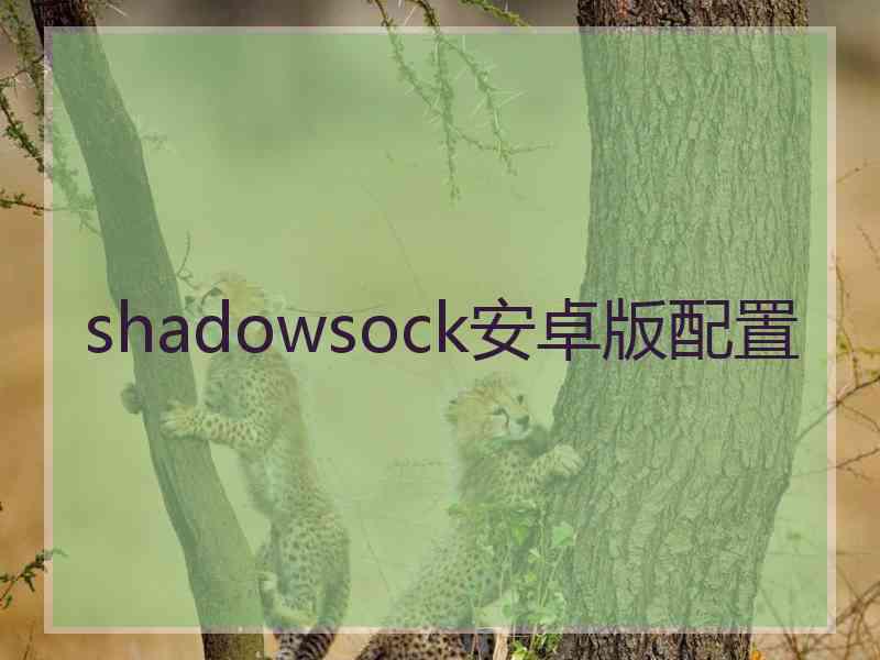 shadowsock安卓版配置