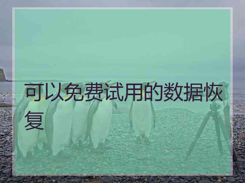 可以免费试用的数据恢复