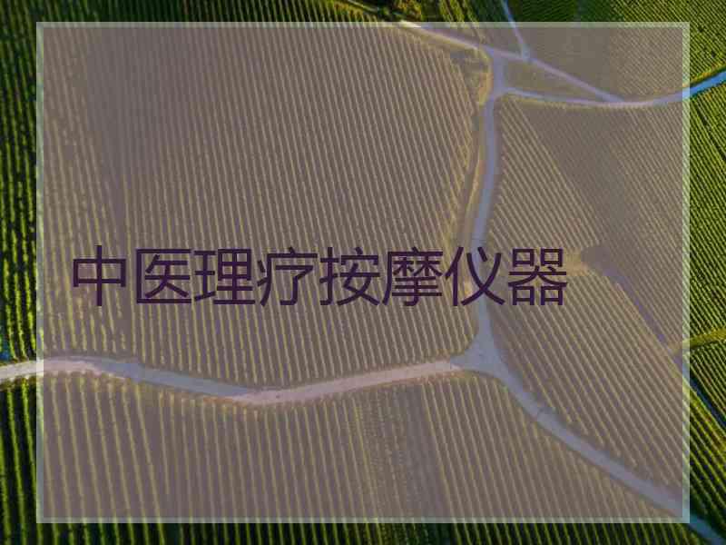 中医理疗按摩仪器