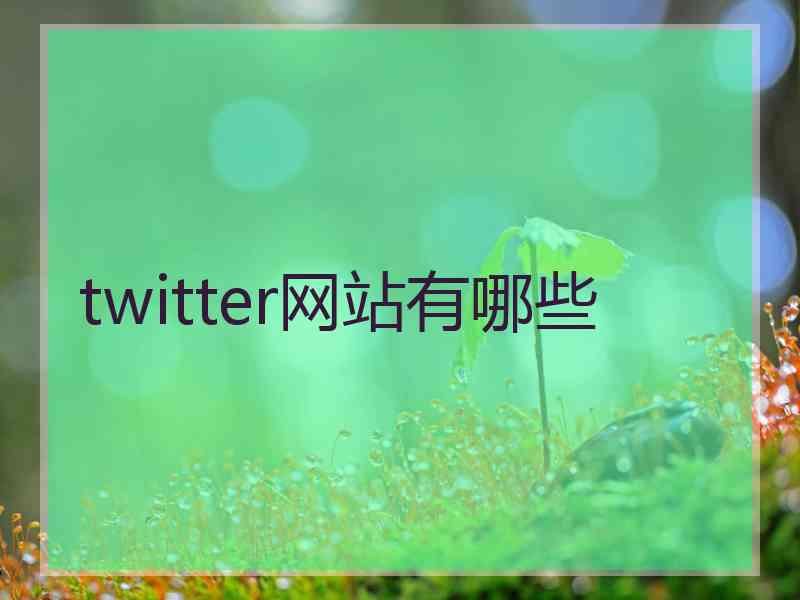 twitter网站有哪些